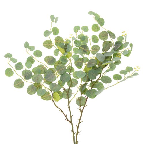 Branche d'eucalyptus décorative, idéale pour la décoration de table, 120 cm
