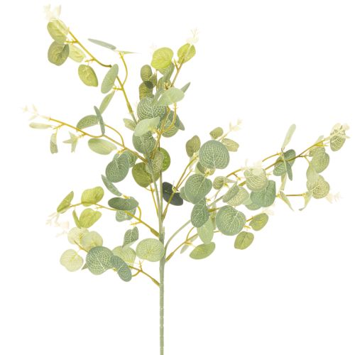 Branche de faux eucalyptus avec feuilles rondes 75 cm lot de 4 acheter | Floristik24.fr