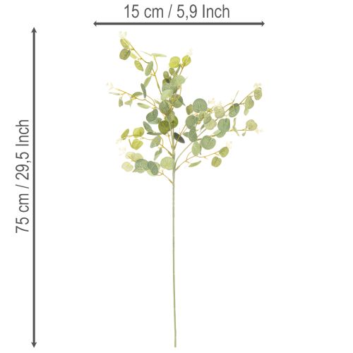 Branche de faux eucalyptus avec feuilles rondes 75 cm lot de 4 | Floristik24.fr