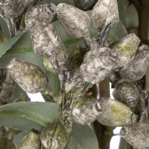 Kunstzweige eucalyptus artificiels lot de 3 vert 53 cm décoration intérieure | Floristik24.fr