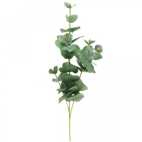 Floristik24 Branche d&#39;Eucalyptus Plante Verte Artificielle Eucalyptus Deco 75cm