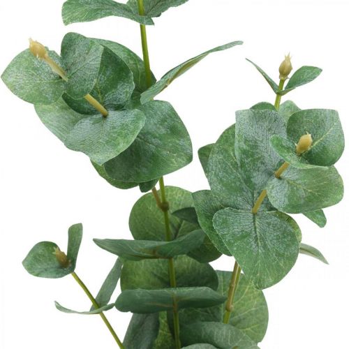 Floristik24 Branche d&#39;Eucalyptus Plante Verte Artificielle Eucalyptus Deco 75cm