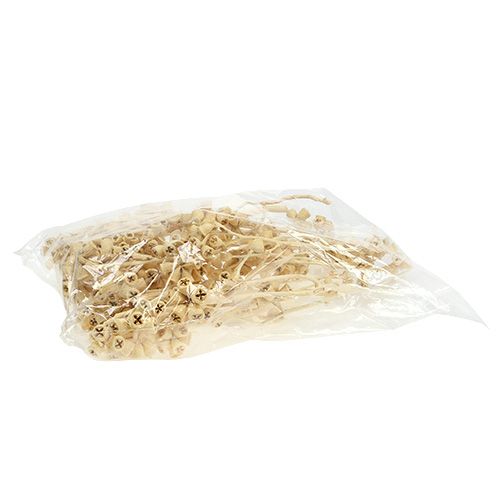 Article Branche d'eucalyptus blanchie 25pcs