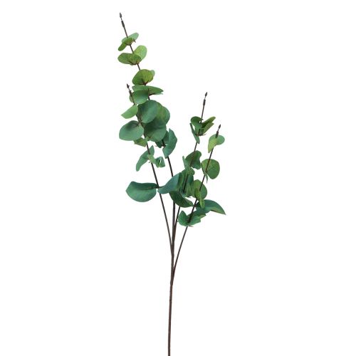 Branche d&#39;eucalyptus artificielle eucalyptus vert 64cm