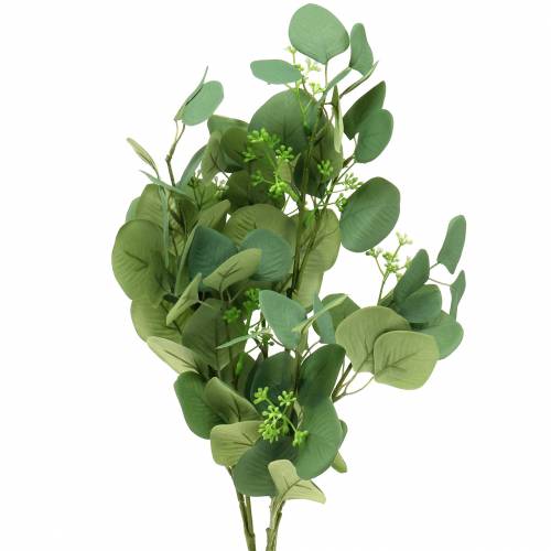 Floristik24.fr Branche d