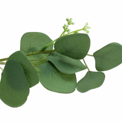 Floristik24 Branche d&#39;eucalyptus 52cm