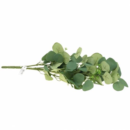 Floristik24 Branche d'eucalyptus 52cm