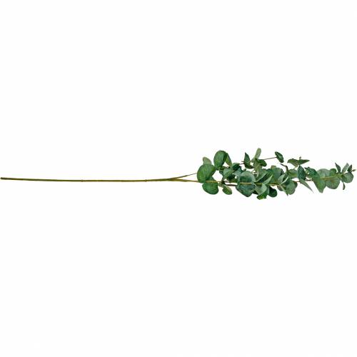 Article Branche d'eucalyptus Branche d'eucalyptus artificielle