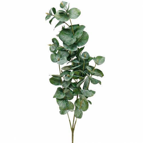 Branche d&#39;eucalyptus Branche d&#39;eucalyptus artificielle
