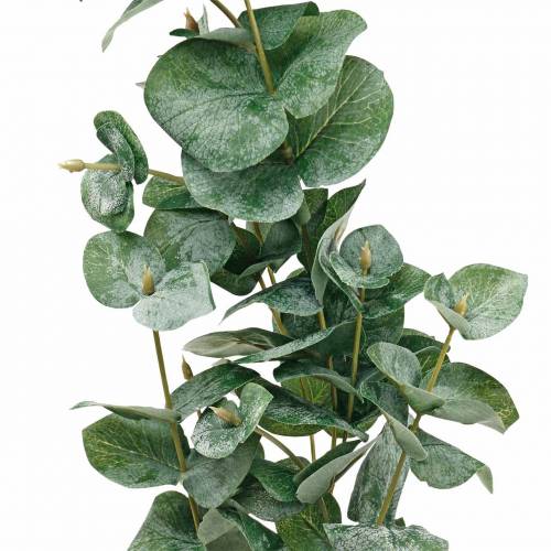 Article Branche d'eucalyptus Branche d'eucalyptus artificielle