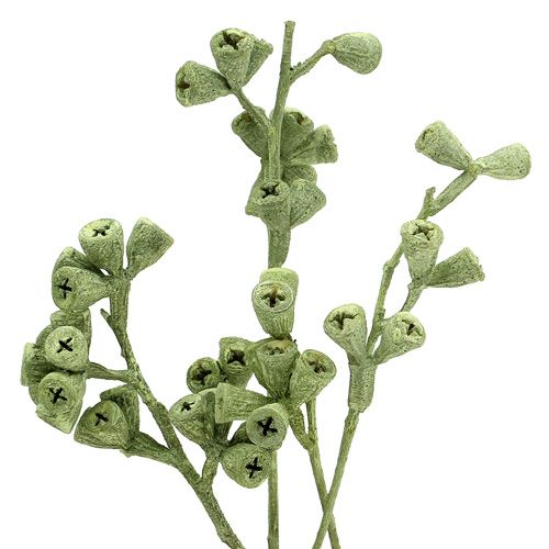 Floristik24 Branche d&#39;eucalyptus vert givré 25 pcs