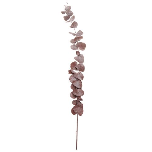 Article Branches d'eucalyptus, eucalyptus stabilisé, fleurs séchées, rouge, 75 cm, 150 g