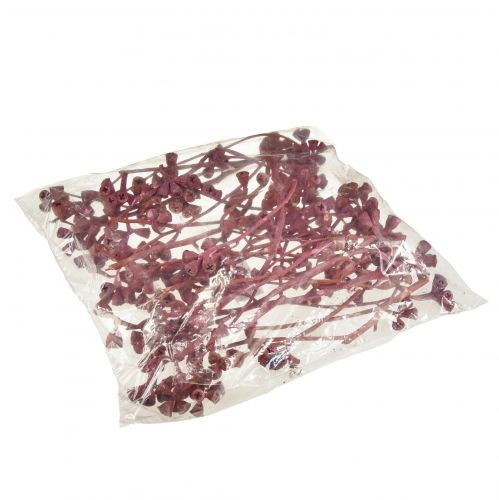 Article Branches d&#39;eucalyptus rouge givré décoration naturelle exotiques 25 pcs
