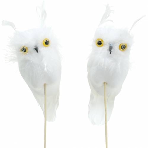 Floristik24 Bouchon décoratif hibou blanc 10cm 2pcs