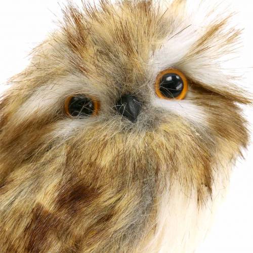 Floristik24 Hibou décoratif avec fourrure et plumes marron, blanc 15cm