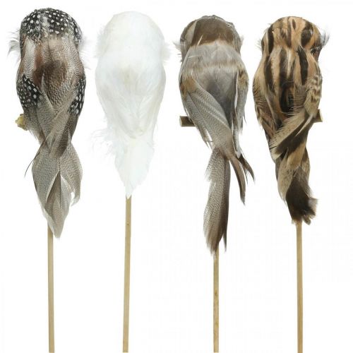 Floristik24 Bouchon fleur déco hibou avec plumes blanc, marron H15cm 4pcs