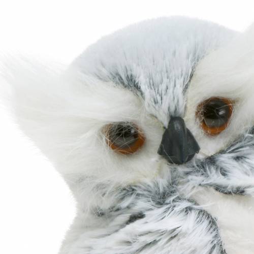 Floristik24 Chouette déco blanche avec fourrure et plumes 21cm