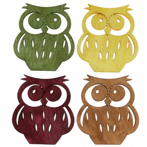 Floristik24 Décoration à disperser hiboux bois couleurs assorties 4cm 72 pcs