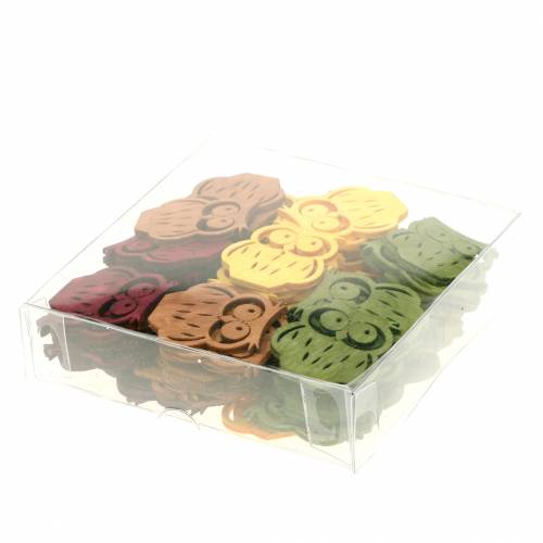 Floristik24 Décoration à disperser hiboux bois couleurs assorties 4cm 72 pcs