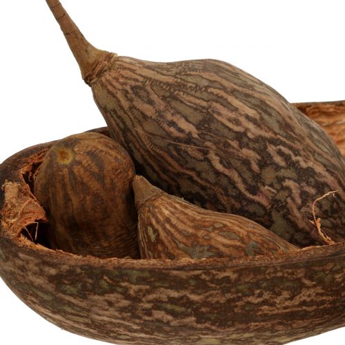 Naturosphère - Lot De 3 Moitiés De Fruit De Baobab Décoratives - Taille 8-12 Cm - Décoration Naturelle Et Exotique Pour Table Ou Intérieur