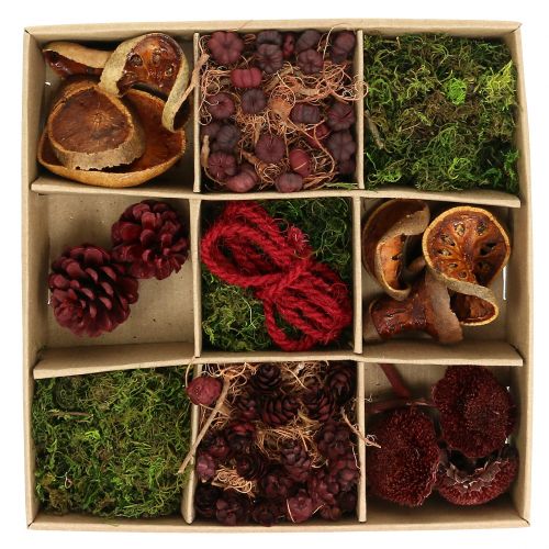 Ensemble d&#39;artisanat de mélange exotique