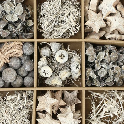 Floristik24 Mélange exotique lavé blanc