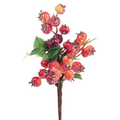 Floristik24 Branche d&#39;églantier déco Branche d&#39;églantier Artificielle déco 35cm