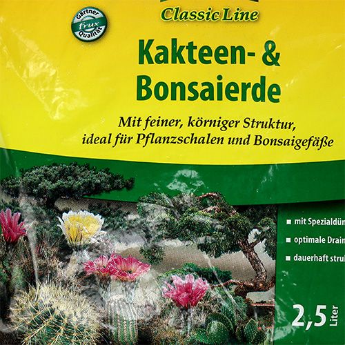 Floristik24 Terreau pour cactus et bonsaï FRUX 2,5 litres
