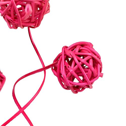 Floristik24 Fancy Ting Ting rose 25 pcs