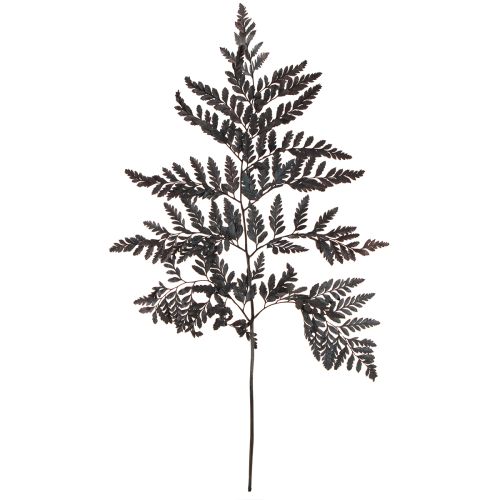 Décoration de fougère Vraies frondes de fougère noires préservées 45 cm 10 pièces