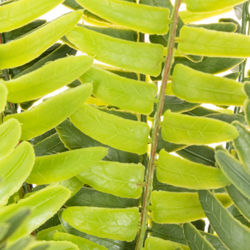 Branche de fougère artificielle verte 45 cm pour décoration intérieure | Floristik24.fr