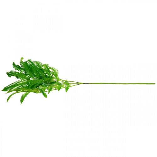 Floristik24 Fougère Feuilles Vertes, Fougère 3 Feuilles sur Branche, Asclépiade L96cm