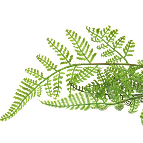 Article Fougère arborescente en pot vert 60cm