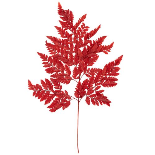 Rameaux de fougère conservée rouge 42 cm lot de 10