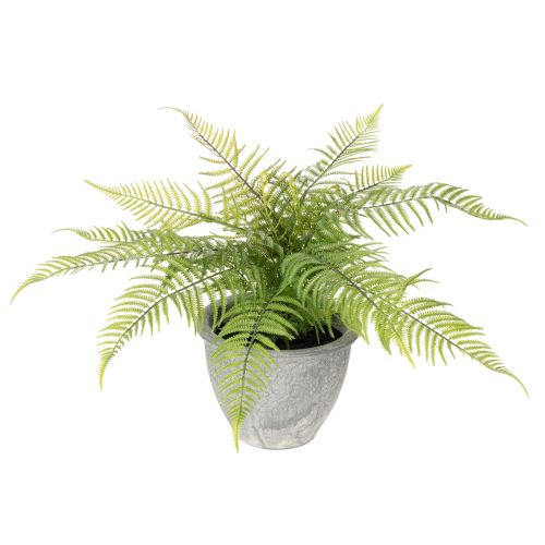 Künstlicher Farn en pot décoratif pour intérieur 35 cm acheter | Floristik24.fr