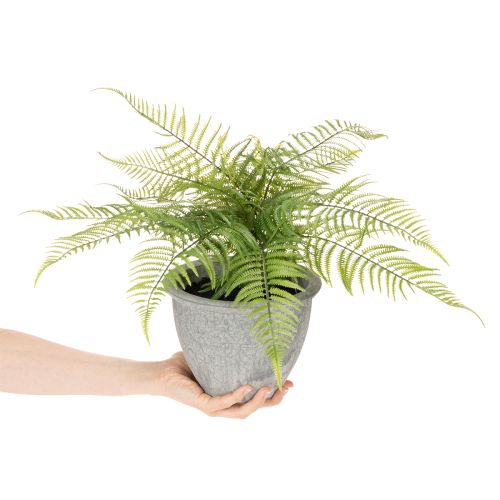 Künstlicher Farn en pot décoratif pour intérieur 35 cm | Floristik24.fr