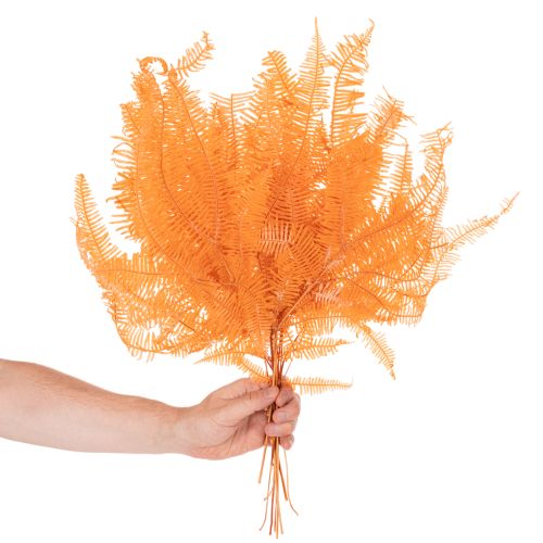 Brin de fougère conservé orange 60 cm set de 10 pour décorations | Floristik24.fr