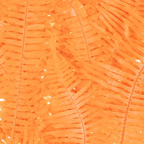 Brin de fougère conservé orange 60 cm set de 10 pour décorations | Floristik24.fr