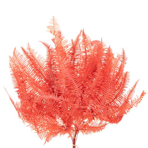 Fougère conservée rouge 60 cm 10 pièces | Floristik24.fr