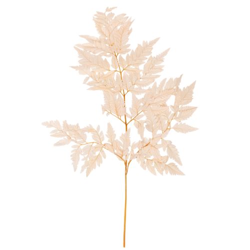 Fougère séchée décorative pour vase 42 cm rose 10 pièces acheter | Floristik24.fr