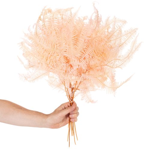 Fougères séchées pour décoration intérieure 60 cm rose pâle x10 | Floristik24.fr