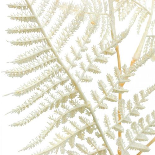 Fougère feuille décorative, plante artificielle, branche de fougère, feuille de fougère décorative blanche L59cm