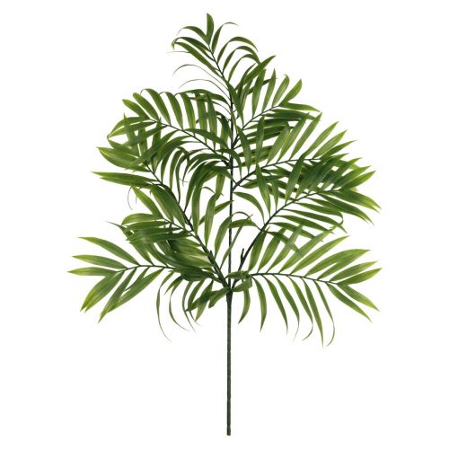 Floristik24 Décoration de palmier feuilles de palmier plantes artificielles vert 56cm 3pcs