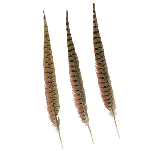 Floristik24 Plumes de Faisan Décoration Vraies Plumes Naturelles 40cm 9 pcs