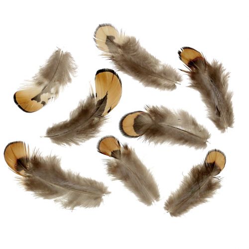 Floristik24 Mélange de plumes 12 g