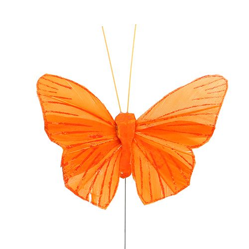 Floristik24 Plume papillon 8cm orange 24pcs
