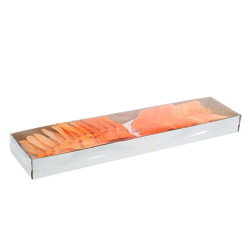 Floristik24 Plume papillon 8cm orange 24pcs