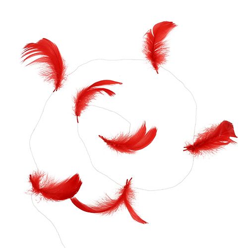 Floristik24 Plumes sur fil Rouge 10m