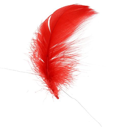 Floristik24 Plumes sur fil Rouge 10m