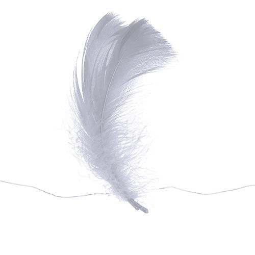 Floristik24 Ressort sur fil Blanc 10m